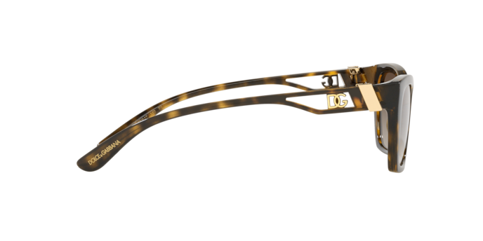 Dolce & Gabbana Sunglasses DG6155 502/13