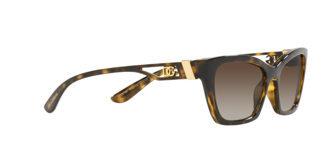Dolce & Gabbana Sunglasses DG6155 502/13