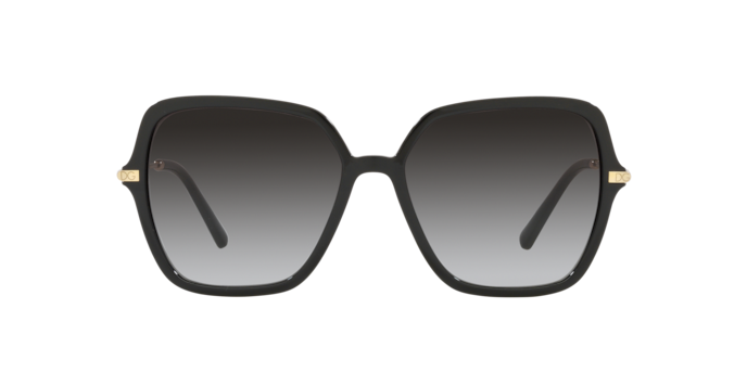 Dolce & Gabbana Sunglasses DG6157 501/8G