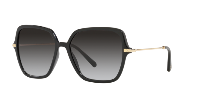 Dolce & Gabbana Sunglasses DG6157 501/8G