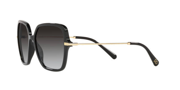 Dolce & Gabbana Sunglasses DG6157 501/8G