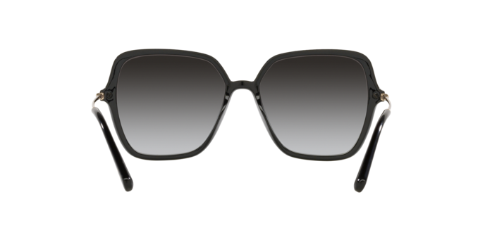 Dolce & Gabbana Sunglasses DG6157 501/8G