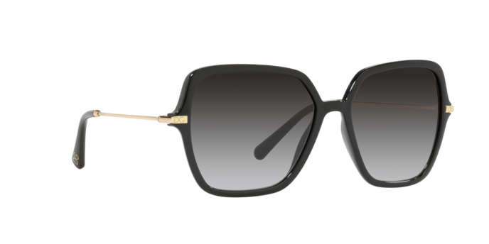 Dolce & Gabbana Sunglasses DG6157 501/8G