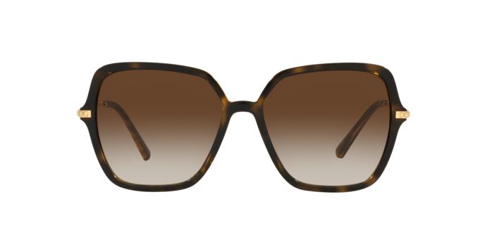 Dolce & Gabbana Sunglasses DG6157 502/13