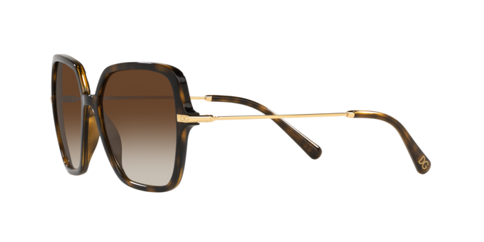 Dolce & Gabbana Sunglasses DG6157 502/13