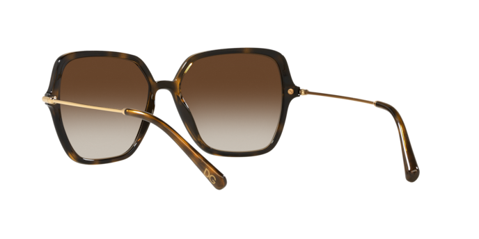 Dolce & Gabbana Sunglasses DG6157 502/13