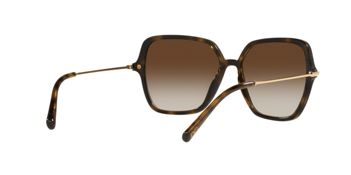 Dolce & Gabbana Sunglasses DG6157 502/13