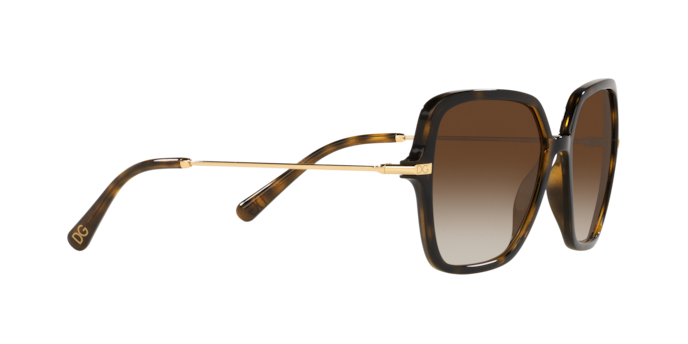 Dolce & Gabbana Sunglasses DG6157 502/13