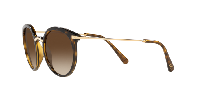 Dolce & Gabbana Sunglasses DG6158 502/13