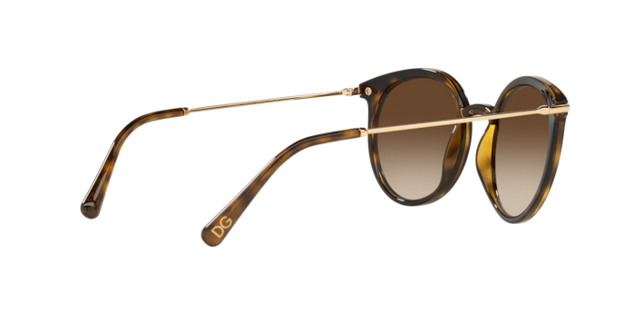 Dolce & Gabbana Sunglasses DG6158 502/13