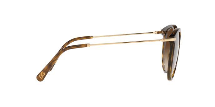Dolce & Gabbana Sunglasses DG6158 502/13