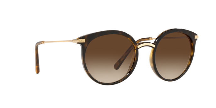 Dolce & Gabbana Sunglasses DG6158 502/13