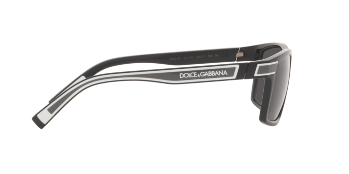 Dolce & Gabbana Sunglasses DG6160 501/87