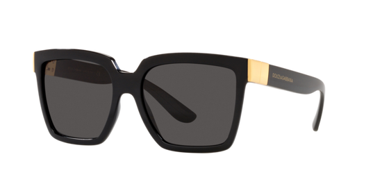 Dolce & Gabbana Sunglasses DG6165 501/87