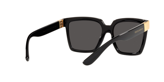 Dolce & Gabbana Sunglasses DG6165 501/87