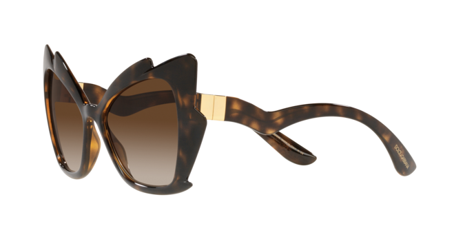 Dolce & Gabbana Sunglasses DG6166 502/13