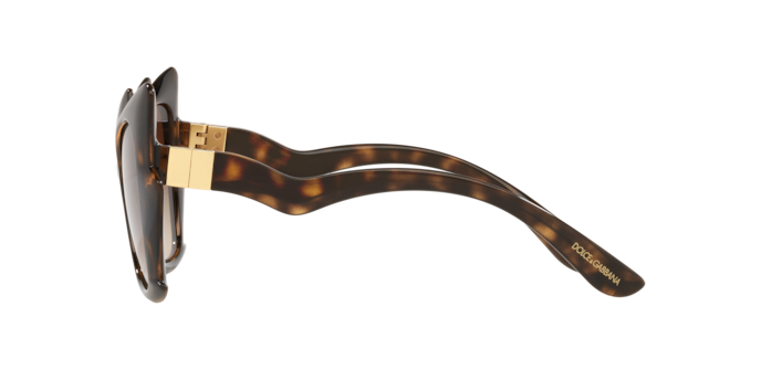 Dolce & Gabbana Sunglasses DG6166 502/13