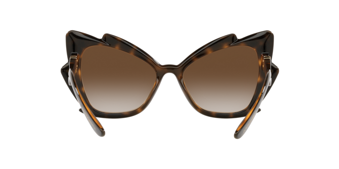 Dolce & Gabbana Sunglasses DG6166 502/13