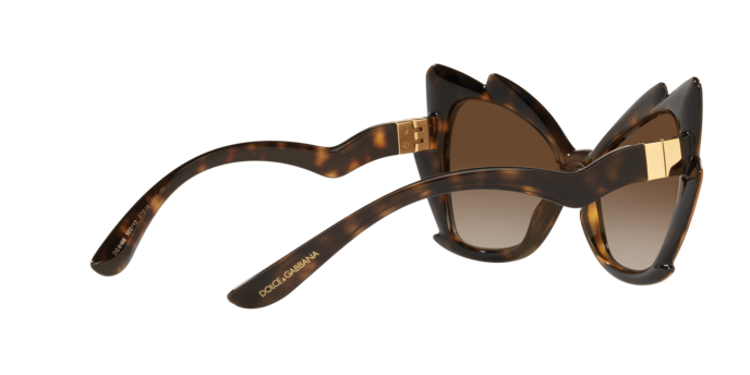 Dolce & Gabbana Sunglasses DG6166 502/13