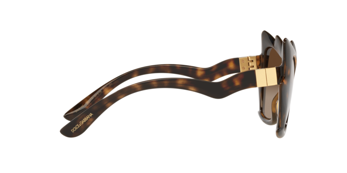 Dolce & Gabbana Sunglasses DG6166 502/13