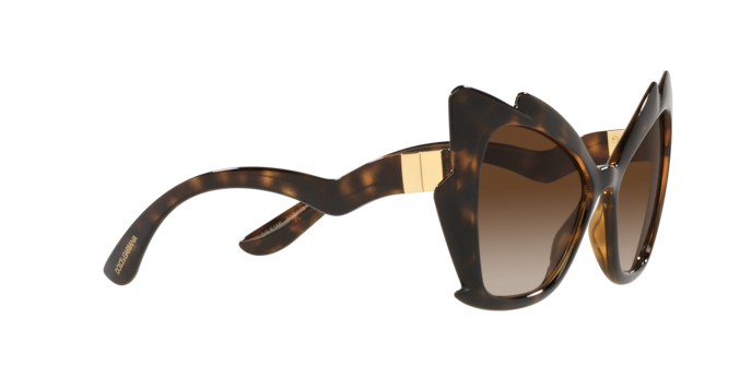 Dolce & Gabbana Sunglasses DG6166 502/13