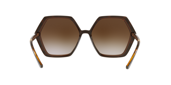 Dolce & Gabbana Sunglasses DG6167 318513