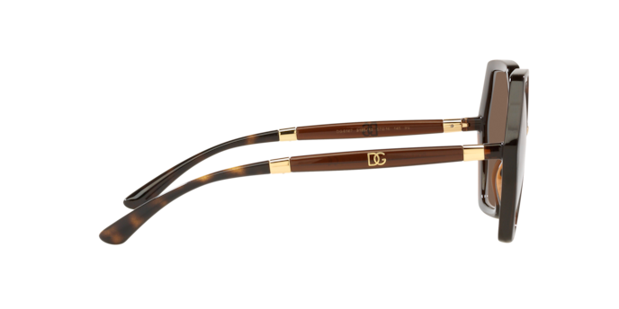 Dolce & Gabbana Sunglasses DG6167 318513