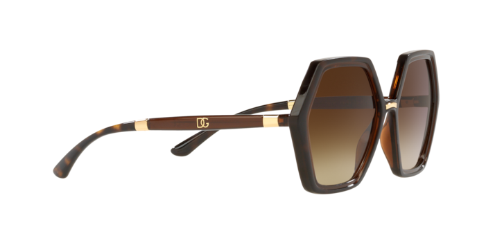 Dolce & Gabbana Sunglasses DG6167 318513