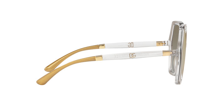 Dolce & Gabbana Sunglasses DG6167 33256E