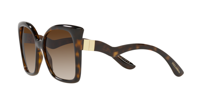 Dolce & Gabbana Sunglasses DG6168 502/13