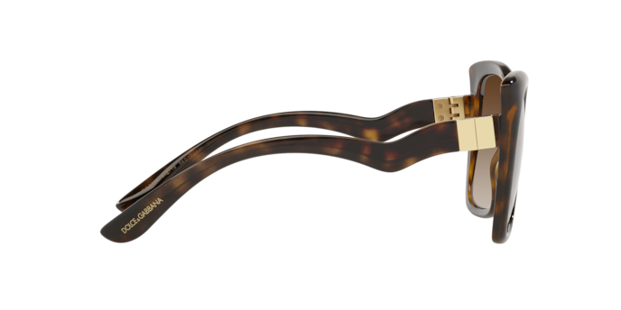 Dolce & Gabbana Sunglasses DG6168 502/13