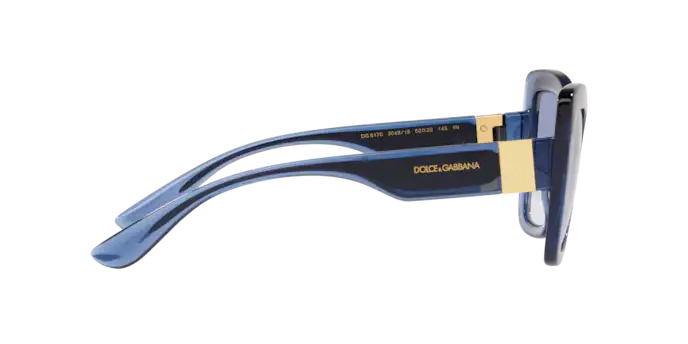 Dolce & Gabbana Sunglasses DG6170 304819