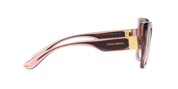 Dolce & Gabbana Sunglasses DG6170 31908D