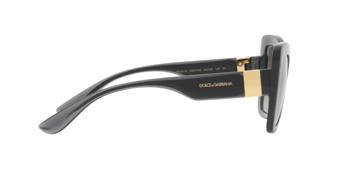 Dolce & Gabbana Sunglasses DG6170 32578G