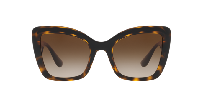 Dolce & Gabbana Sunglasses DG6170 330613