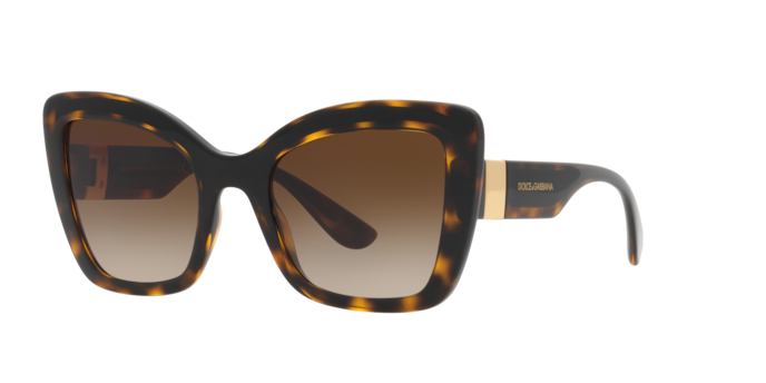 Dolce & Gabbana Sunglasses DG6170 330613