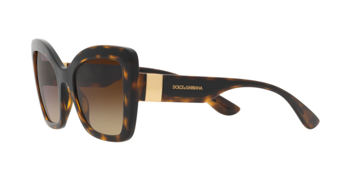 Dolce & Gabbana Sunglasses DG6170 330613