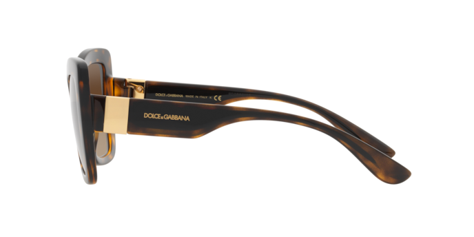 Dolce & Gabbana Sunglasses DG6170 330613