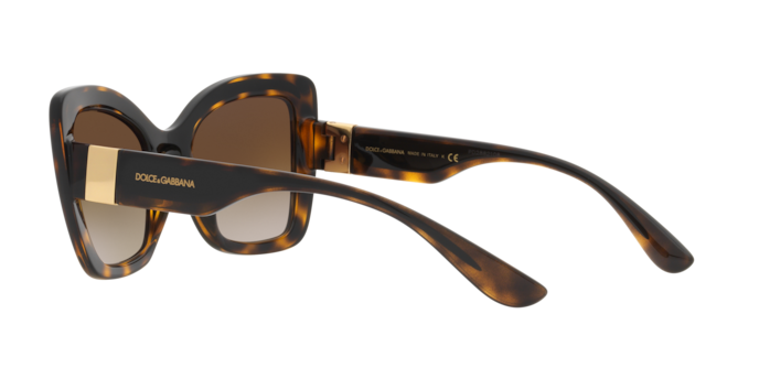 Dolce & Gabbana Sunglasses DG6170 330613