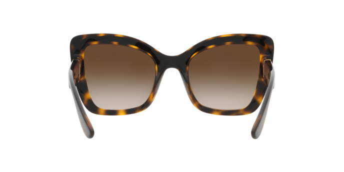 Dolce & Gabbana Sunglasses DG6170 330613
