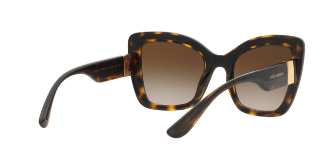 Dolce & Gabbana Sunglasses DG6170 330613