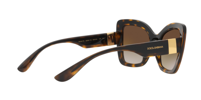 Dolce & Gabbana Sunglasses DG6170 330613