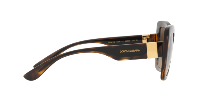 Dolce & Gabbana Sunglasses DG6170 330613