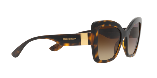 Dolce & Gabbana Sunglasses DG6170 330613