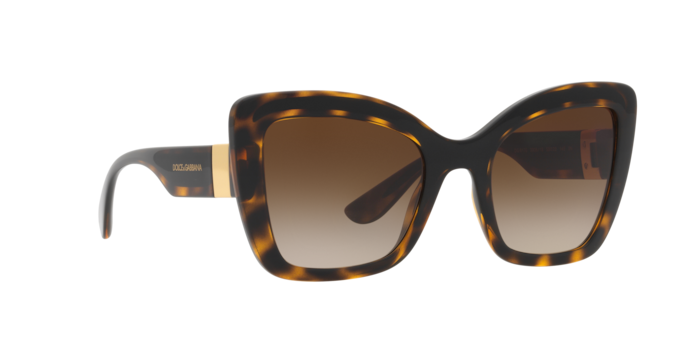 Dolce & Gabbana Sunglasses DG6170 330613
