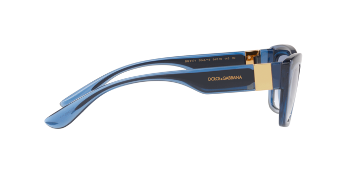 Dolce & Gabbana Sunglasses DG6171 304819