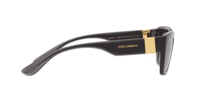 Dolce & Gabbana Sunglasses DG6171 32578G