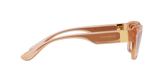 Dolce & Gabbana Sunglasses DG6171 32843B