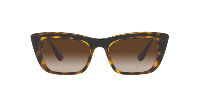 Dolce & Gabbana Sunglasses DG6171 330613