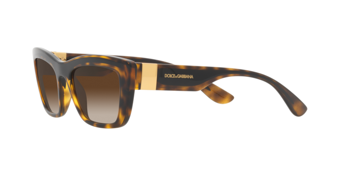 Dolce & Gabbana Sunglasses DG6171 330613